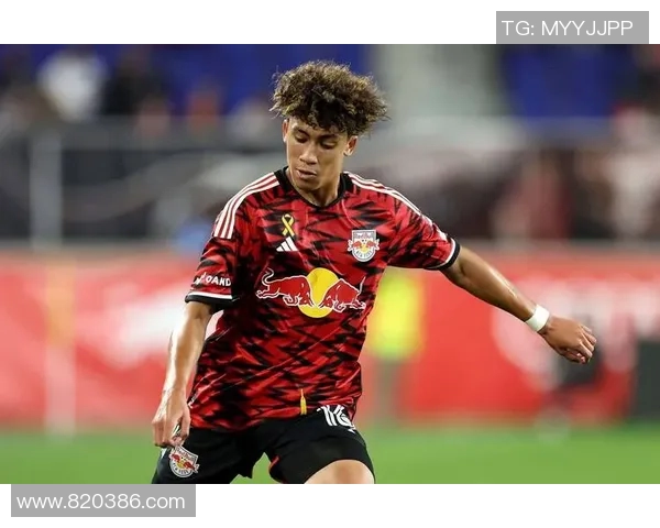 纽约红牛与纽约城比赛前瞻分析及胜负预测 纽约红牛与纽约城比赛前瞻分析及胜负预测