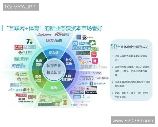 探索上海韧博体育俱乐部的成长之路与未来发展潜力分析